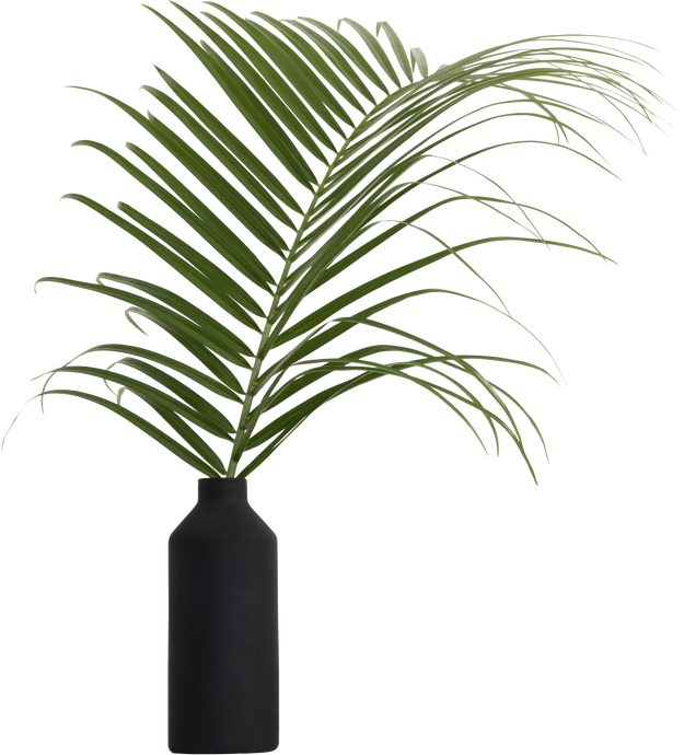 House Plant in Vase