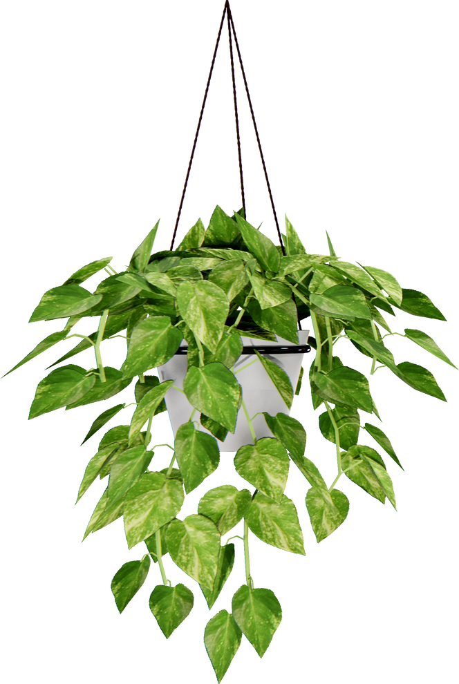Hanging plant in pot cutout