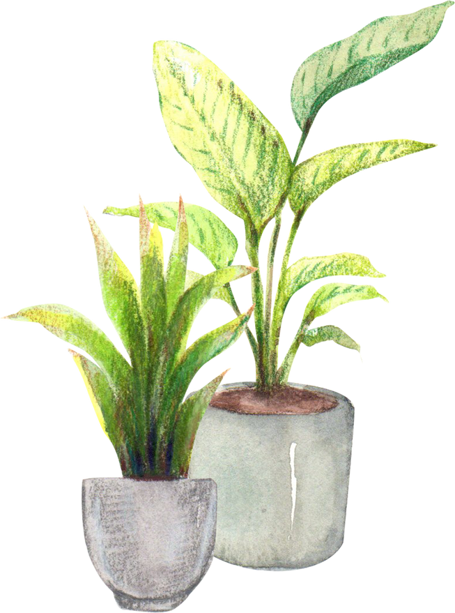Watercolor Potted House Plants